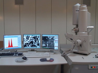  Microscopio elettronico a scansione